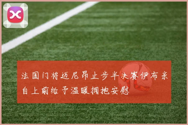 法国门将迈尼昂止步半决赛伊布亲自上前给予温暖拥抱安慰