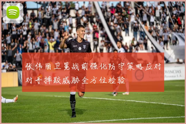 张伟丽卫冕战前强化防守策略应对对手摔跤威胁全方位检验