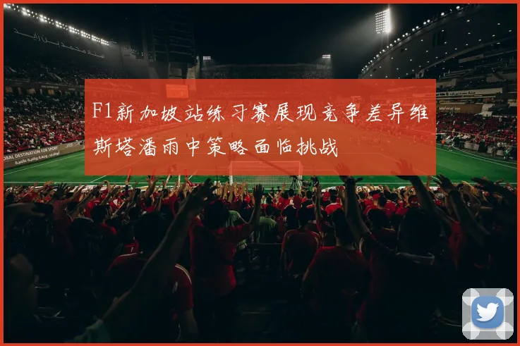 F1新加坡站练习赛展现竞争差异维斯塔潘雨中策略面临挑战
